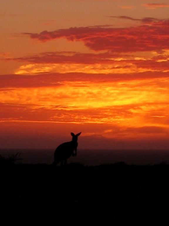 Gnaraloo Station - Homestead Carnarvon Luaran gambar